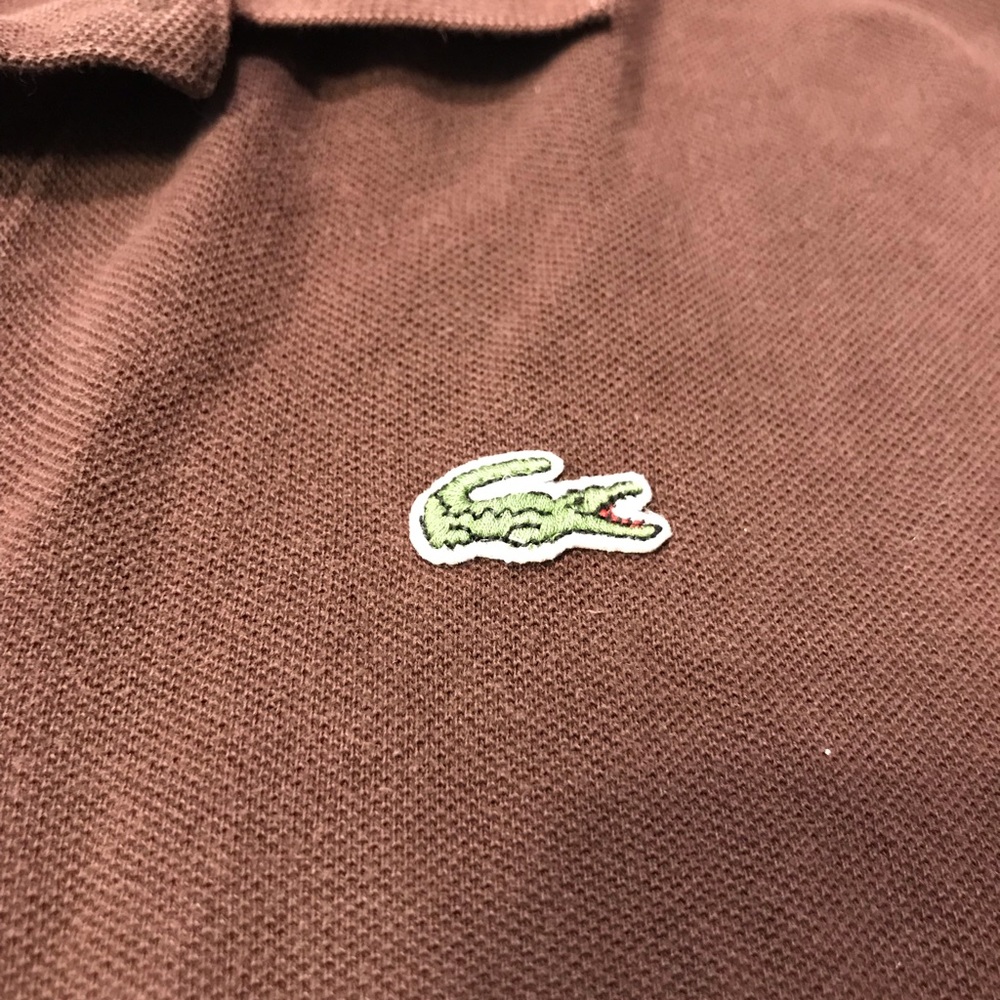 Lacoste brown polo Large size 5